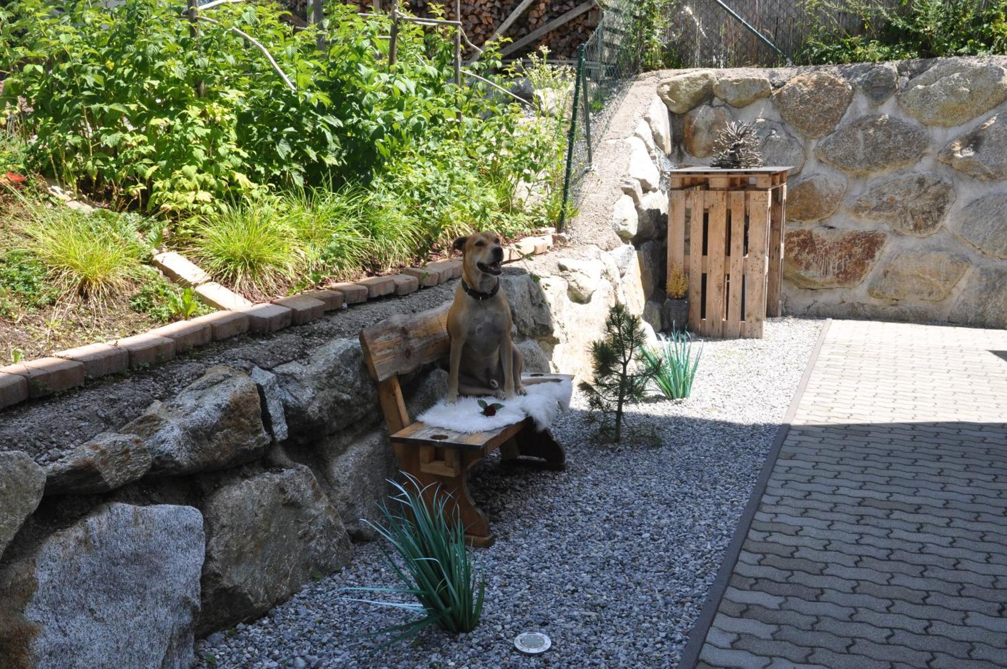 Ferienwohnung Baerbel Sautens Exterior foto